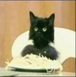 spaghetticat.eth Ethereum Name Service (ENS and .eth domain) PFP